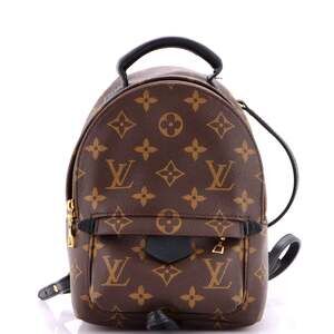 Louis Vuitton Palm Springs Backpack #247406L23B